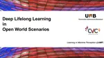 Deep Lifelong Learning in Open World Scenarios
